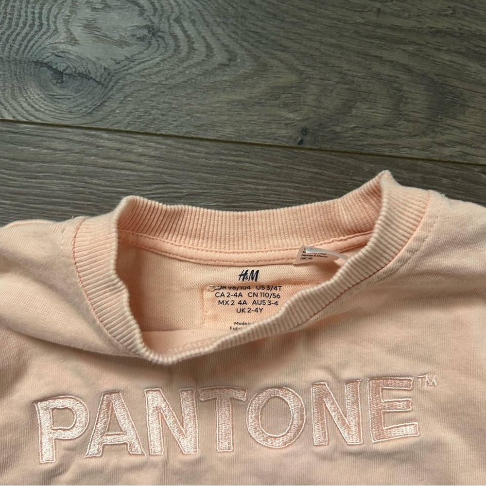 Sold xlist H&M Pink Coral Peach Pantone T-Shirt and Leggings Set 3T - Picture 3 of 8